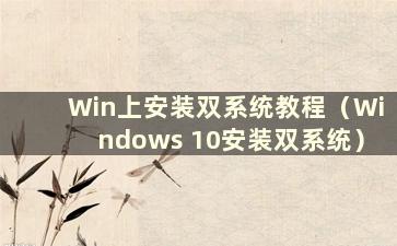 Win上安装双系统教程（Windows 10安装双系统）